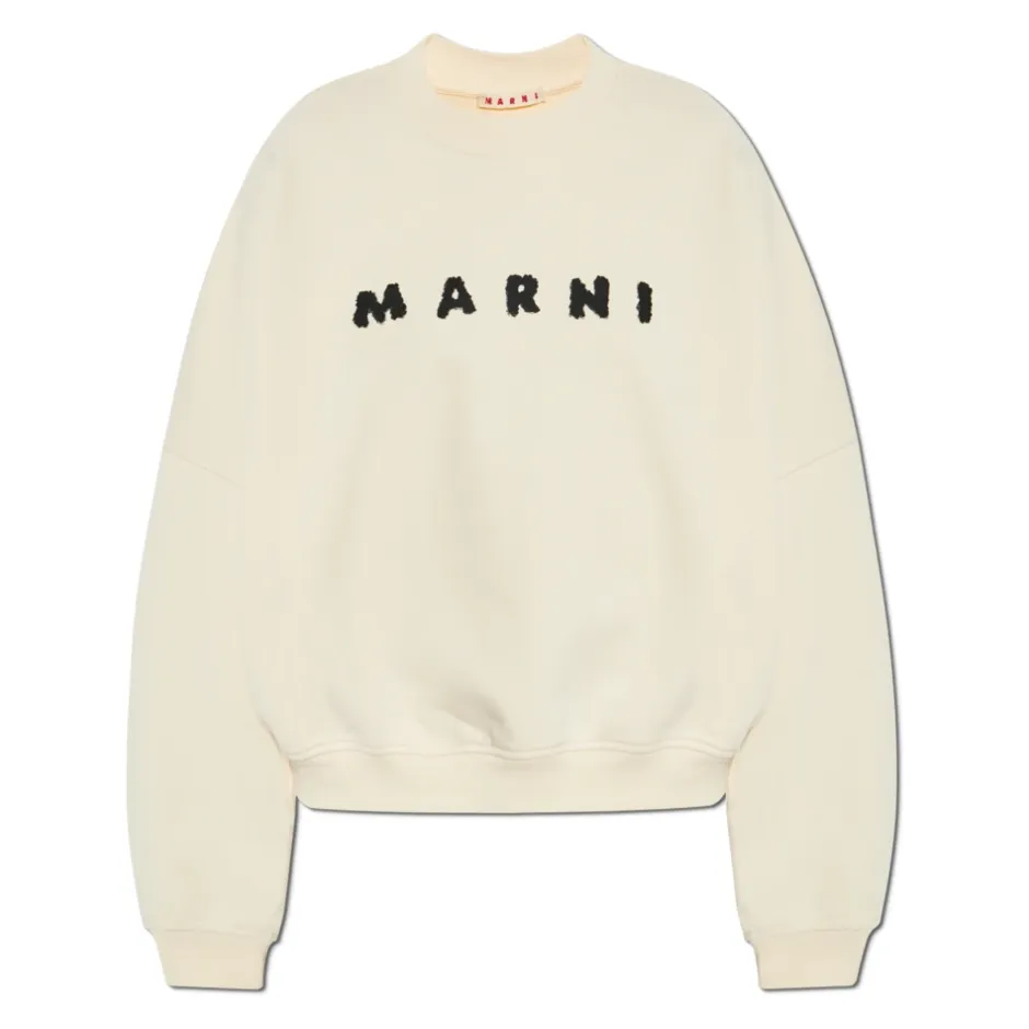 Sweatshirt med logo Dame Sweatshirts