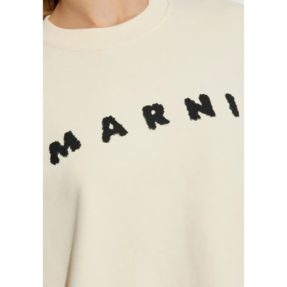 Sweatshirt med logo Dame Sweatshirts