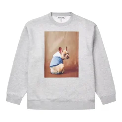 Best Sweatshirts Dame Sweatshirts